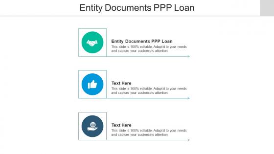 Entity documents ppp loan ppt powerpoint presentation infographic template designs download cpb
