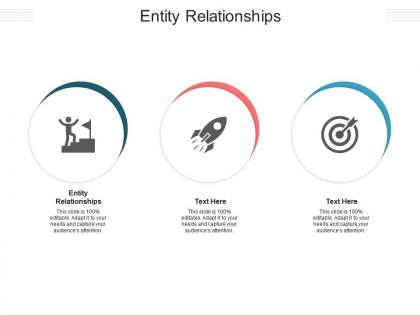 Entity relationships ppt powerpoint presentation professional styles cpb