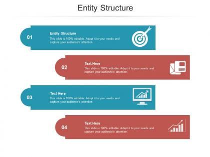 Entity structure ppt powerpoint presentation ideas topics cpb