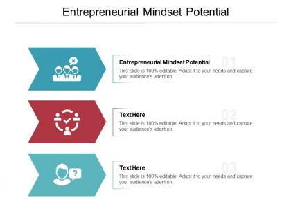 Entrepreneurial mindset potential ppt powerpoint presentation layouts visuals cpb