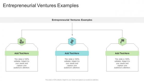 Entrepreneurial Ventures Examples In Powerpoint And Google Slides Cpb