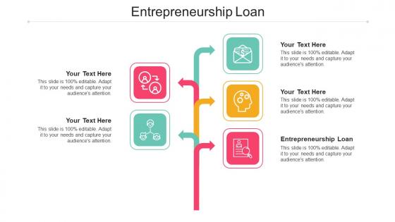 Entrepreneurship Loan Ppt Powerpoint Presentation Layouts Brochure Cpb