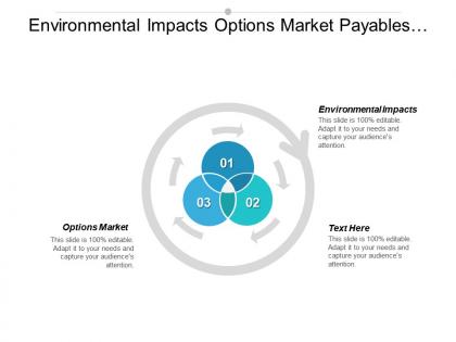 Environmental impacts options market payables management performance review cpb