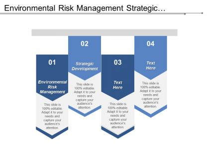 Environmental risk management strategic development business developments economic development cpb