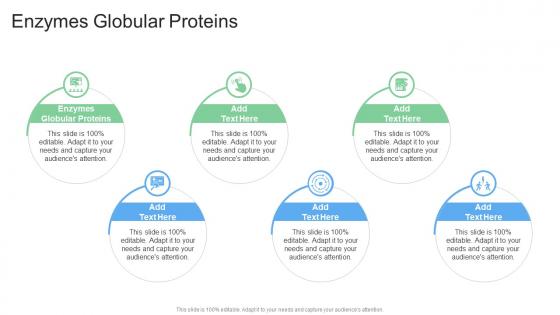 Enzymes Globular Proteins In Powerpoint And Google Slides Cpb