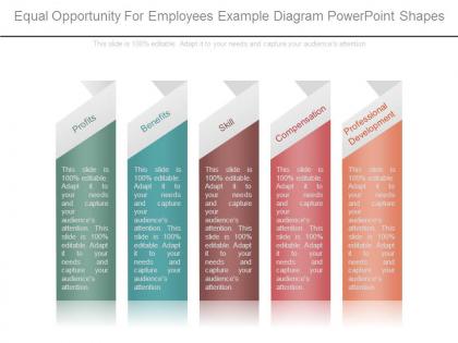 Equal opportunity for employees example diagram powerpoint shapes