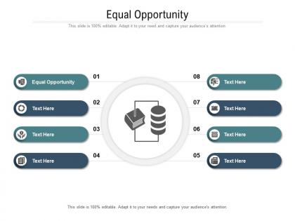 Equal opportunity ppt powerpoint presentation infographics brochure cpb
