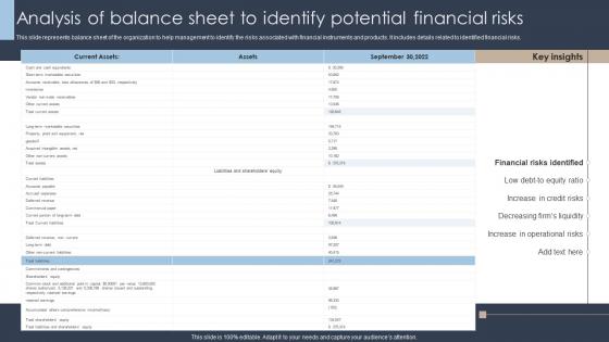Erm Program Analysis Of Balance Sheet To Identify Potential Financial Risks Ppt Slides Clipart