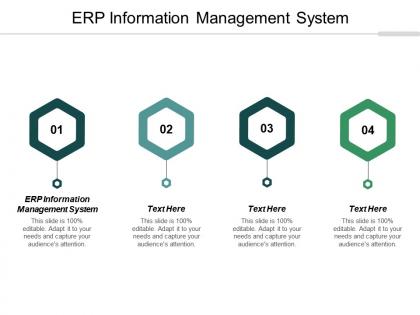 Erp information management system ppt powerpoint presentation file backgrounds cpb