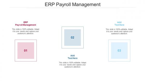 ERP Payroll Management In Powerpoint And Google Slides Cpb