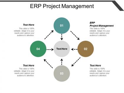 Erp project management ppt powerpoint presentation layouts layouts cpb