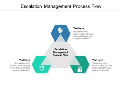 Escalation management process flow ppt powerpoint presentation model background designs cpb