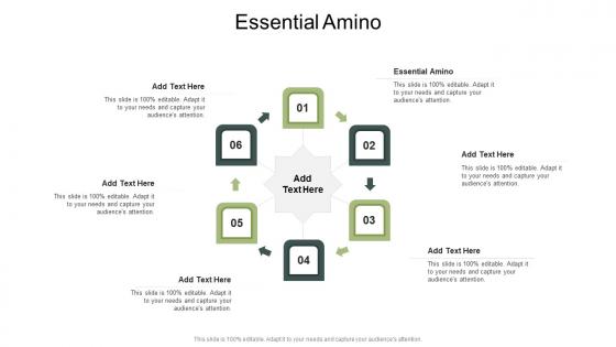 Essential Amino In Powerpoint And Google Slides Cpb