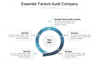 Essential factors audit company ppt powerpoint presentation infographic backgrounds cpb