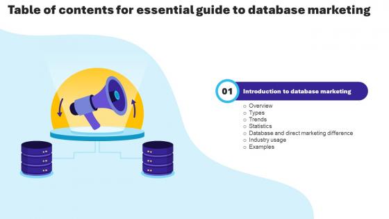 Essential Guide To Database Marketing Table Of Content MKT SS V