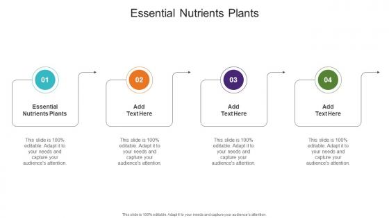 Essential Nutrients Plants In Powerpoint And Google Slides Cpb