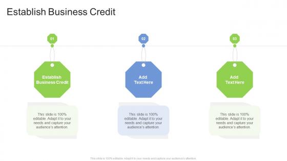 Establish Business Credit In Powerpoint And Google Slides Cpb