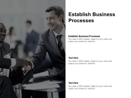 Establish business processes ppt powerpoint presentation portfolio gallery cpb
