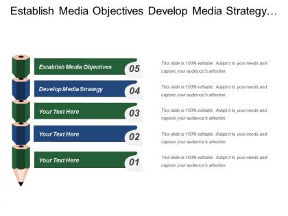 Establish media objectives develop media strategy business performance