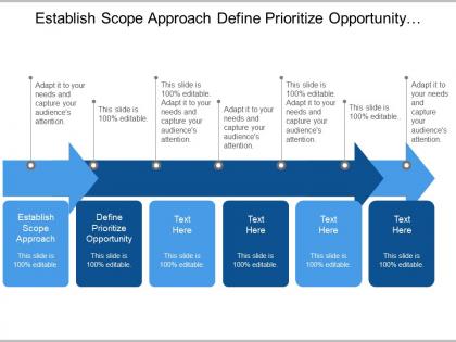 Establish scope approach define prioritize opportunity set strategic vision