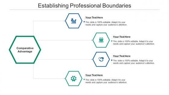 Establishing professional boundaries ppt powerpoint presentation summary maker cpb