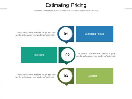 Estimating pricing ppt powerpoint presentation model outfit cpb