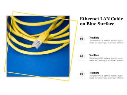 Ethernet lan cable on blue surface