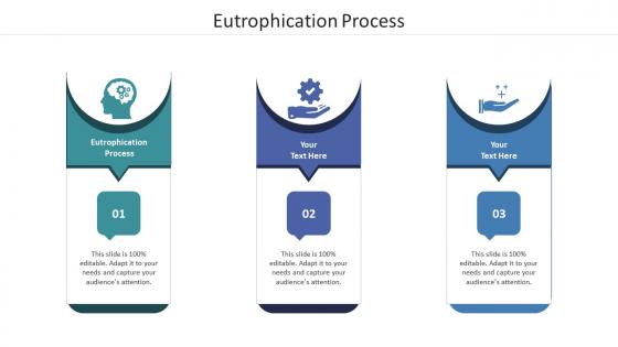 Eutrophication process ppt powerpoint presentation infographics example topics cpb
