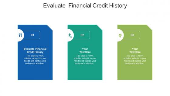 Evaluate financial credit history ppt powerpoint presentation outline diagrams cpb