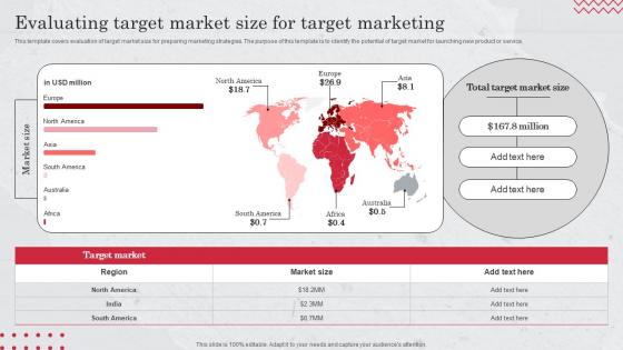 Evaluating Target Market Size For Target Market Definition Examples Strategies And Analysis