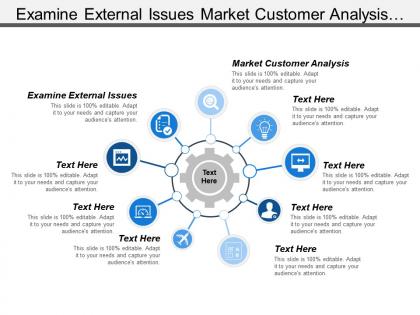 Examine external issues market customer analysis formulating strategies