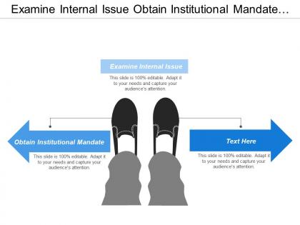 Examine internal issue obtain institutional mandate market competition