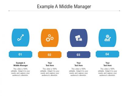 Example a middle manager ppt powerpoint presentation model slideshow cpb