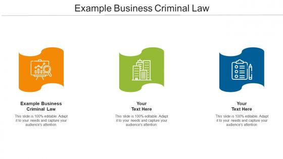Example Business Criminal Law Ppt Powerpoint Presentation Professional Icon Cpb
