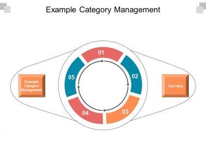 Example category management ppt powerpoint presentation slides deck cpb