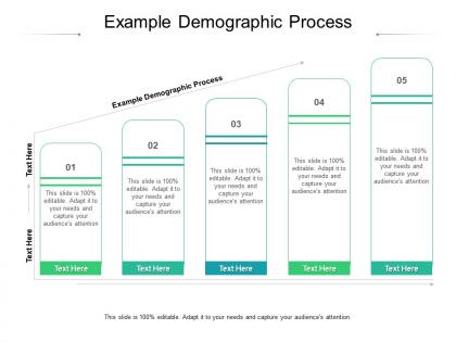 Example demographic process ppt powerpoint presentation infographics structure cpb