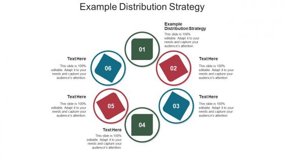 Example distribution strategy ppt powerpoint presentation portfolio layouts cpb