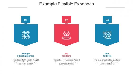 Example Flexible Expenses Ppt Powerpoint Presentation File Inspiration Cpb