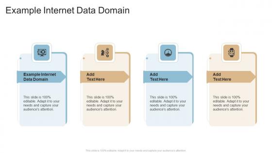 Example Internet Data Domain In Powerpoint And Google Slides Cpb