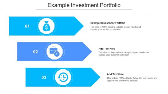 Example Investment Portfolio Ppt Powerpoint Presentation Ideas Tips Cpb