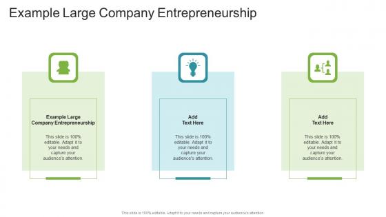 Example Large Company Entrepreneurship In Powerpoint And Google Slides Cpb