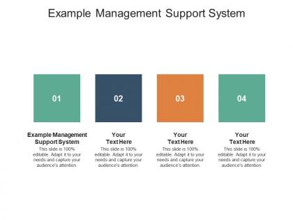 Example management support system ppt powerpoint presentation gallery graphics cpb