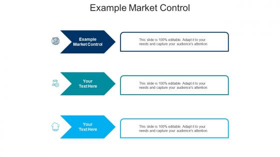 Example market control ppt powerpoint presentation portfolio designs download cpb