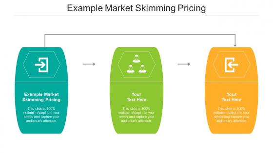 Example Market Skimming Pricing Ppt Powerpoint Presentation Layouts Icons Cpb