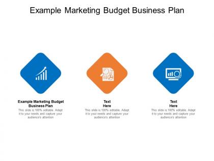 Example marketing budget business plan ppt powerpoint presentation icon cpb