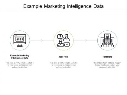 Example marketing intelligence data ppt powerpoint presentation model graphic images cpb