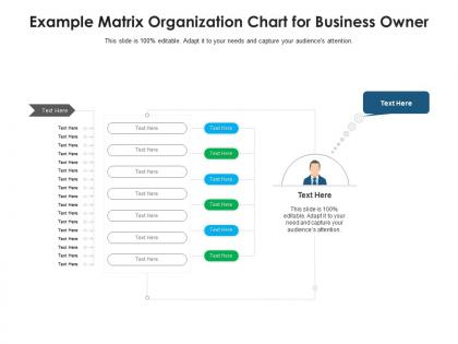 Example matrix organization chart for business owner infographic template