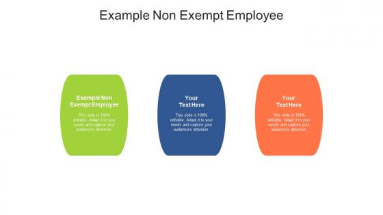 Example non exempt employee ppt powerpoint presentation portfolio sample cpb