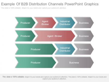 Example of b2b distribution channels powerpoint graphics