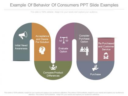 Example of behavior of consumers ppt slide examples